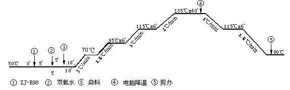 ZJ-R98使用工藝