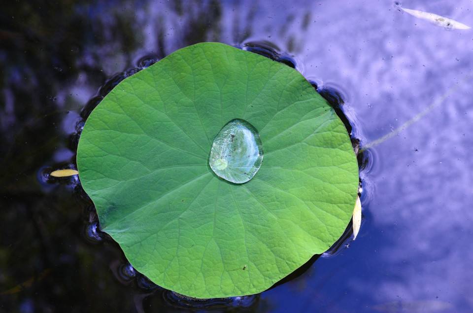 廣州莊杰防水劑