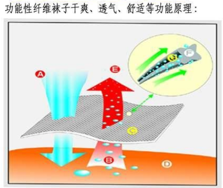 功能性吸濕排汗纖維的作用和用途