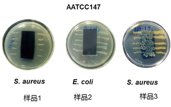 圖1  AATCC 147測試結果